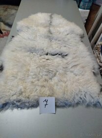 Prodám kožešiny z oveček - 4
