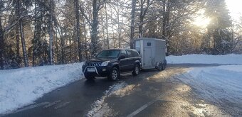 Přeprava koní a jiných zvířat, ČR + Evropa - 4