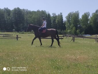 Nabízím ježdění - 4