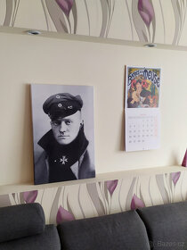 Manfred von Richthofen - Fotobraz na plátně / 60x40cm - 4