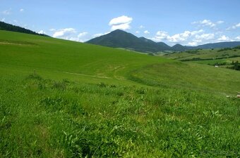 Pozemek se stavebním projektem v Žaškově Orava /SK - 4