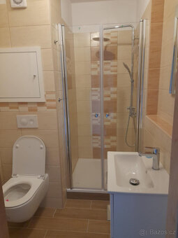 Pronájem bytu 1+1 Sušice - 4