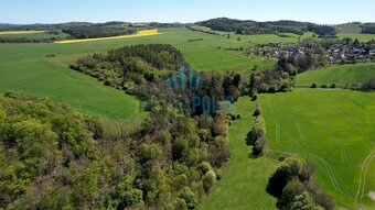 Prodej lesa, 80.000m2, Krámy - 4