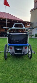 Thule chariot - 4