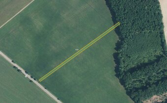 Zemědělská půda, prodej, Kuželov, Hodonín - 4