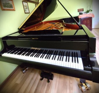 Blüthner křídlo Model 2 – Semi-koncertní křídlo (1987) 230cm - 4