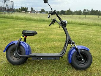 Ecowheel Chopper R1 - 4