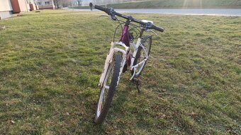 Dívčí kolo Zn. Arcore Violette 14" - 4