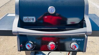 Weber spirit - 4