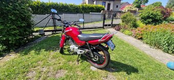 YAMAHA YBR 125 - 4