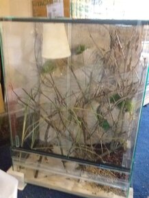 kompletní terária pro chameleóny - 4