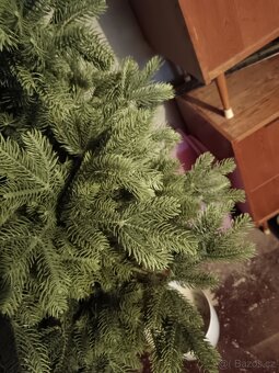 Vánoční stromeček, stromek 180cm - 4