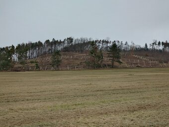 Stavba lesních oplocenek - 4