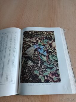 Alpínky,Růže,Atlas hub - 4