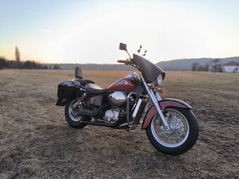 Honda VT 750 Shadow ACE - 4