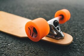 Longboard Owl cutout - 4