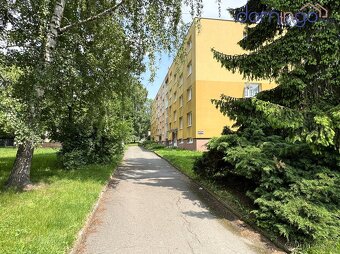 Byt 1+1 36 m2 na ulici Bratří Čapků ve Svitavách - 4