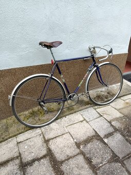Favorit - 4