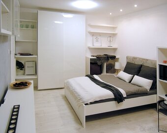 Pronájem vybaveného bytu, po celkové rekonstrukci, 1+1, 40m2 - 4