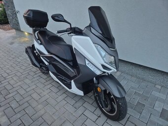 PRODÁM SKÚTR TARO SY125T-9C - 4