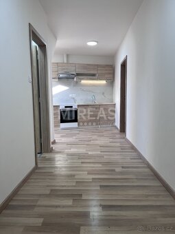 Benátky nad Jizerou, pronájem podkrovního bytu 1+1, 44m2, ok - 4