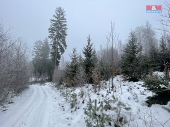 Prodej, les, 10412 m2, Pecka, Vidonice - 4