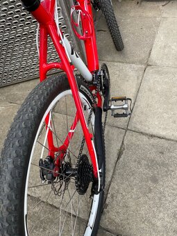 Kolo Specialized.Velikost rámu 19. Vel.(L) - 4