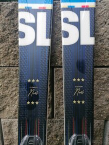 Dynastar Omeglass SL 173cm r-14. Model 2022/2023 - 4