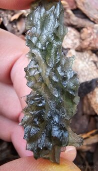 Vltavíny Besednice - 4