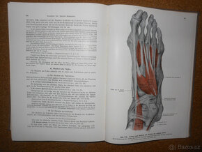 Staré knihy Anatomie člověka - 4