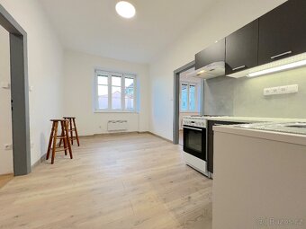 Pronájem prostorného bytu 2+1, 50 m2 - ul. Slovenská, Znojmo - 4