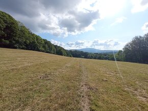 Louka o výměře 50.034m2 s výhledem na Černou horu - Vrchlabí - 4