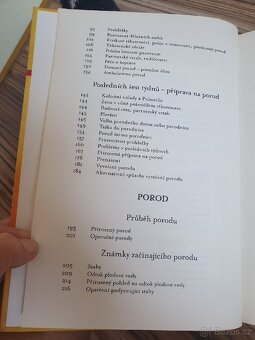 Zdravé těhotenství přirozený porod - 4
