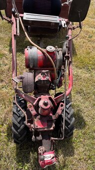 Prodám terra vari - 4