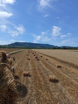 Sláma, malé balíky - 4