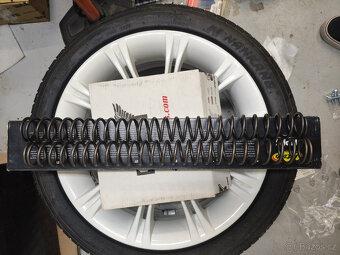 Pružiny WP tvrdost 4.8N - 4