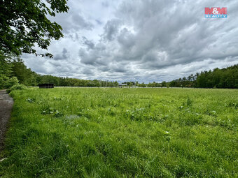 Prodej louky, 7933 m², Svojetice - 4