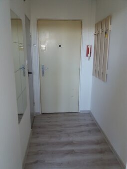 Pronájem bytu 1+kk - 4