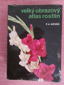 Velký obrazový atlas zvířat, ryb, rostlin, dopravy - 4