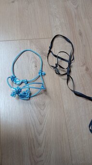 Hobby horse - 4