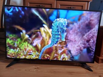 Smart TV LG 49LH6047-uhlopříčka 123cm,wifi, dvbt2 - 4