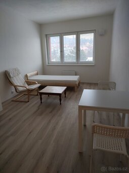 Dlouhodobý pronájem 1 kk Brno - 4