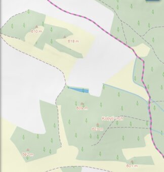 Prodám lesní pozemek Čepřovice - 4