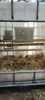 Kurnik z IBC nádrže - 4