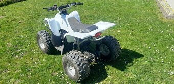 ACCESS drr 100 - 4
