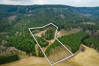 Stavební pozemek s lesem Řetůvka, okres Ústí nad Orlicí - 4