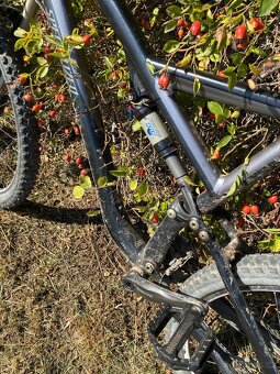 Specialized Stumpjumper - 4