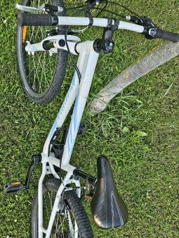 Specialized Hotrock - 4