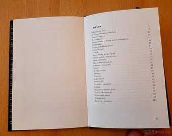 AMBROŽOVY BUDĚJOVICKÉ POVĚSTI A POVÍDKY - 4