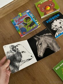 6x knížka pro děti do 2 let - 4